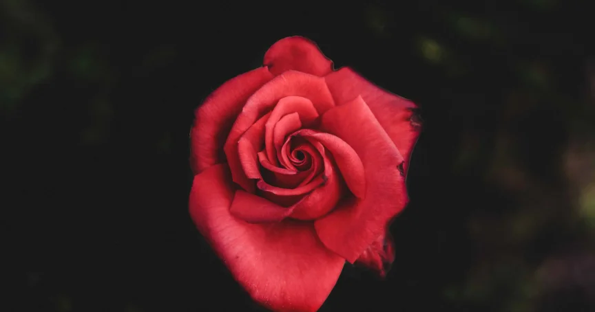 Ever Accountable Customer Stories: Esther