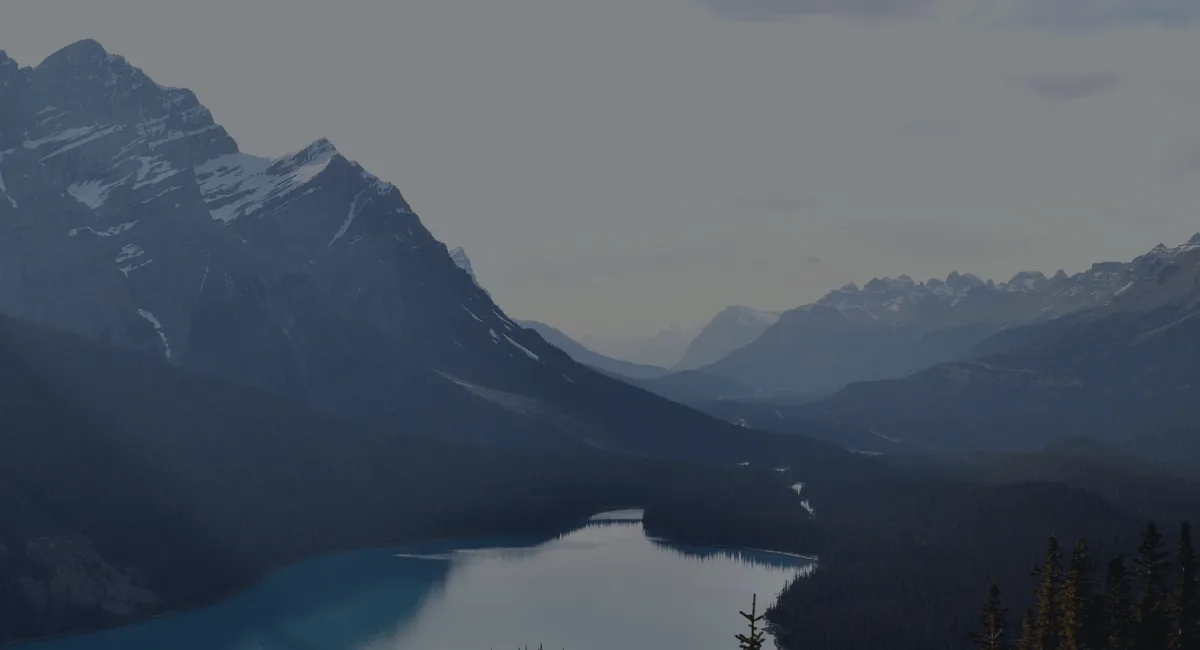 Porn Stats: Surprising Facts You Should Know